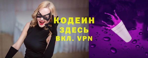 PSILOCYBIN Бородино