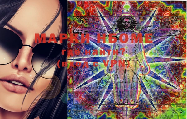 PSILOCYBIN Бородино