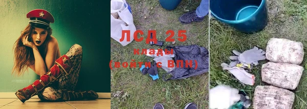 PSILOCYBIN Бородино