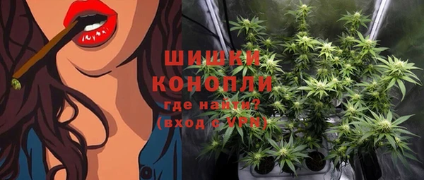 PSILOCYBIN Бородино